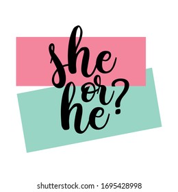 He or she? Gender reveal party card, banner vector element  design - Shutterstock ID 1695428998