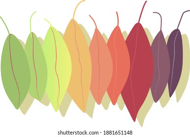 he leaves are painted in an autumn color palette. The illustration can be used for icons, cards.