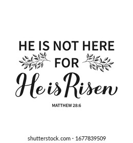 He is risen calligraphy hand lettering. Bible Quote Matthew 28:6 typography poster. Easy to edit vector template for Easter greeting card, banner, sticker, etc.