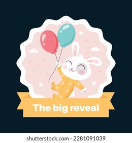 He or she. Boy or Girl. gender reveal invitation template. Vector illustration. gender reveal party. Cartoon gender reveal invitation.