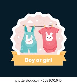 He or she. Boy or Girl. gender reveal invitation template. Vector illustration. gender reveal party. Cartoon gender reveal invitation.