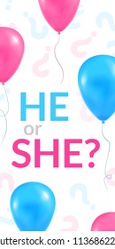 He or She party poster. Gender reveal vertical banner. Vector illustration