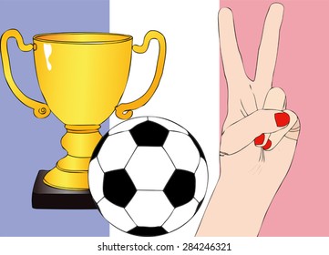 He won France - Illustration depicting the joy of a supporter for the cup won in a football tournament for nations