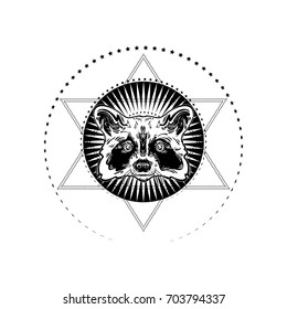 The head is adorable raccoon with the background of star. Totem animal, cute tattoo with a racoon. Design element for t-shirt, poster, cover, decoration. Cute animal. American coon, talisman,  mascot.