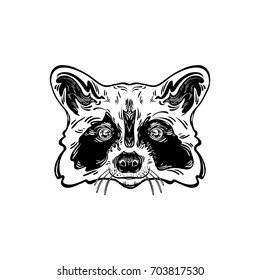 Head is adorable raccoon. Totem animal, cute tattoo with a racoon. Design element for t-shirt, poster, cover, decoration. Cute animal. American coon, talisman,  mascot, amulet. Vector illustration.