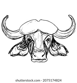 Head of African buffalo. Syncerus caffer. Animal mask. Horned bull. Hand drawn linear doodle rough sketch. Black silhouette on white background.