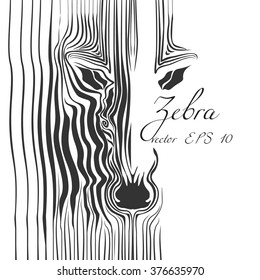head of the African savannah zebras. black white stripes. vector