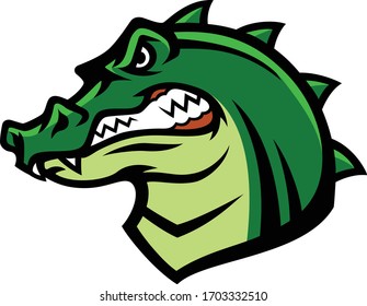 Head of Aggressive Alligator Shows Its Teeth 