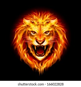 Head Of Aggressive Fire Lion Isolated On Black Background.