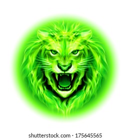 Head of aggressive green fire lion isolated on white background.