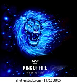 Head of Aggressive Lion in Blue Flames. King of Fire. Illustration on Black Background