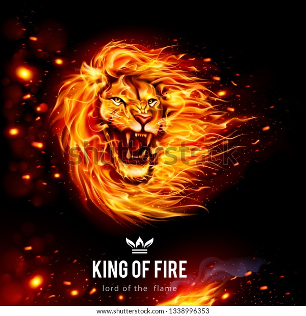 Head Aggressive Lion Flames King Fire Stock Vector Royalty Free 1338996353
