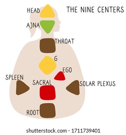 Head, ajna, throat, ego, solar plexus, sacral root spleen g center