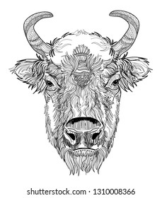 Head of American bison.The cow's head. A cow with big horns and fluffy ears. Drawing manually in vintage style. Meditative coloring. Coloring for children. Arrows, points, patterns, waves.