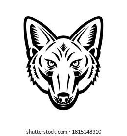 Head of  American Jackal Front View Retro Woodcut Black and White