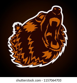 Head of angry bear. Vector illustration