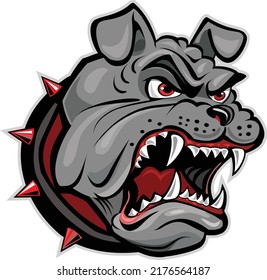 Head of angry English Bulldog 