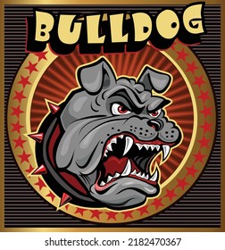 Head of angry English Bulldog 
