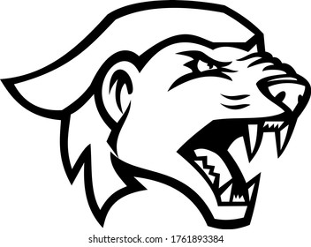 Head of an Angry Honey Badger Mascot Black and White