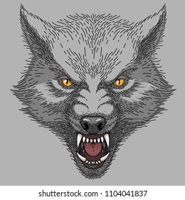 Head of angry roaring wolf, colorful illustration on grey background