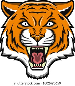 Head of Angry Tiger Mascot