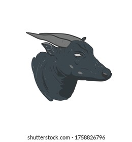 
the head of anoa. endemic animal species