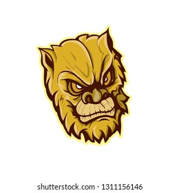 Head of ape