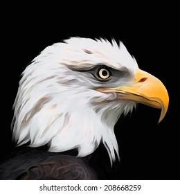 The head of bald eagle, haliaeetus leucocephalus, isolated on black. Side face portrait of American eagle, US national character. Amazing vector image. Great for user pic, icon, label, tattoo. 