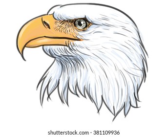 Head bald eagle hand sketch on white background vector illustration.