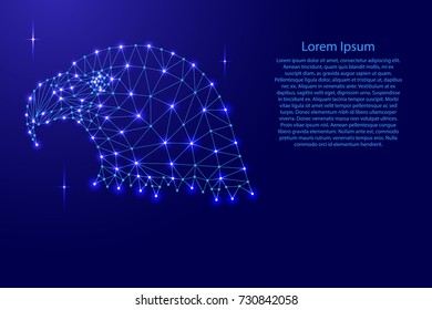 Head of a bald eagle, national symbol of the United States from polygonal mosaic lines network, rays and space stars for banner, poster, greeting card, of vector illustration