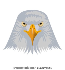 head bald eagle symbol native american