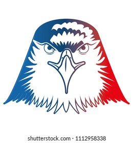 head bald eagle symbol native american