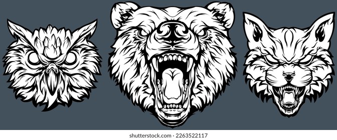 Head of bear, cat, owl. Abstract character illustrations. Graphic logo design template for emblem. Image of portraits.