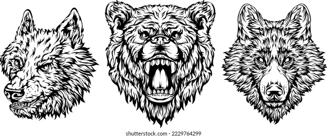 Head of bear, dog, wolf. Abstract character illustration. Graphic logo designs template for emblem. Image of portrait.