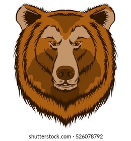 Head of bear isolated on white background.