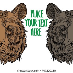 The head of a bear. Meditation, coloring of the mandala. Fluffy face with large ears. Drawing manually, templates. Strips, points, arrows. Spots of watercolor paint, spray. Background for text