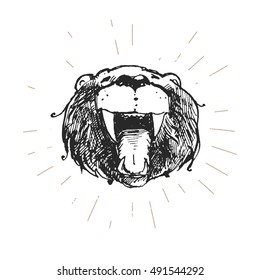 The head of a bear with the open mouth. Excellent graphic element. It can be used for printing on T-shirts or ideas for tattoos.