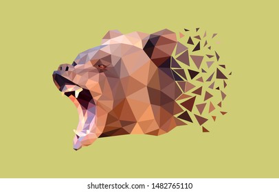 La cabeza de oso que gruñe y muestra colmillos. Bajo diseño de polietileno. Vector, EPS 10
