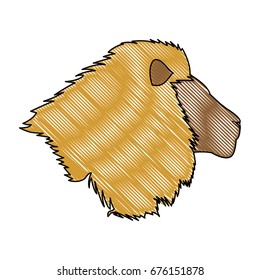 head big lion african powerful fierce