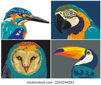 head bird colour hand draw collection vector illustration 