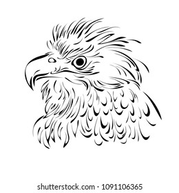head of a bird of prey in black lines on a white background