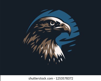 Head of bird of prey, eagle or hawk with. Vector illustration.