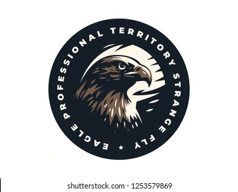 Head of bird of prey, eagle or hawk with. Vector illustration.