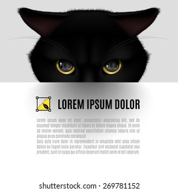 Head of black cat poster with text