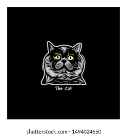 head black cat style concept 