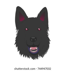 Head of the Black German Shepherd Dog isolated on white.