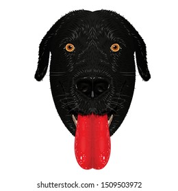 The head of a black labrador dog with yellow eyes and a protruding red tongue. Realistic graphic vector drawing closeup.