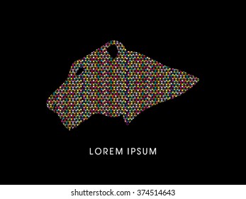 Head Black tiger or Lioness designed using colorful mosaic graphic vector.
