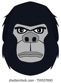 head black yeti