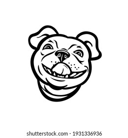 Head of Boston Terrier Breed of Dog Smiling and Licking His Nose Mascot Retro Style